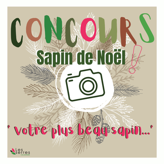 Concours Sapin !