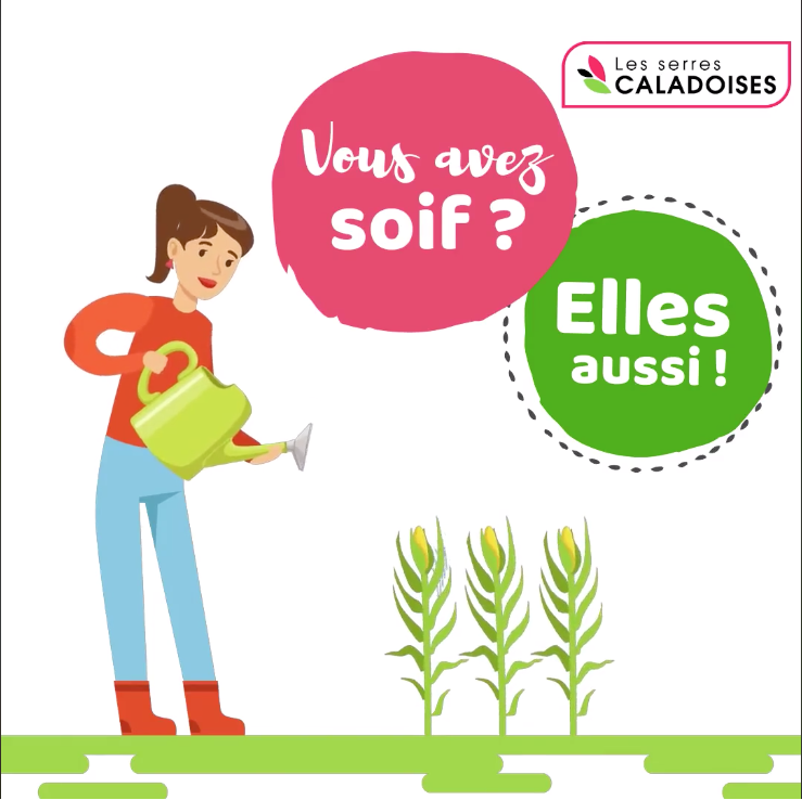 Grosse chaleur = ARROSEZ en abondance